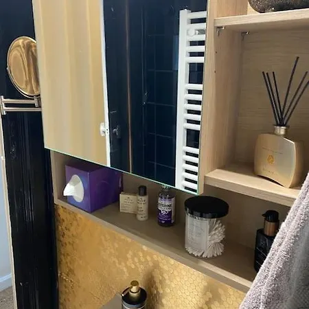 Charme Parisien Du Marais